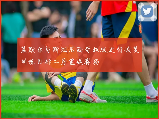莱默尔与斯坦尼西奇积极进行恢复训练目标二月重返赛场